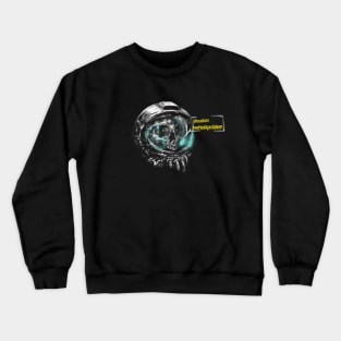 past problembs Crewneck Sweatshirt